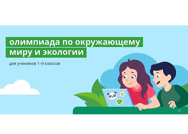 Участие в олимпиадах.