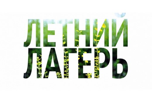 Лагерь с дневным пребыванием детей.