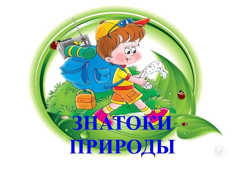Кружок &amp;quot;Путешествие по наукам&amp;quot;.